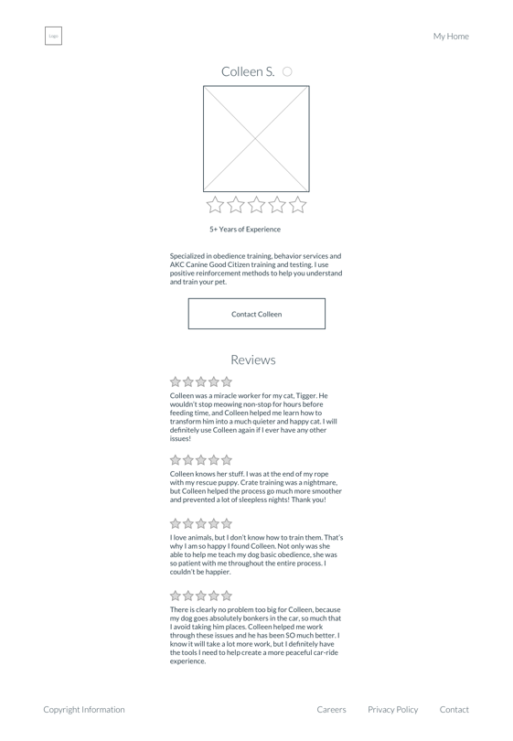 Balsamiq Wireframe 1